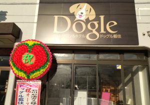 徳島県藍住町の犬の美容室 ドッグル藍住 外観